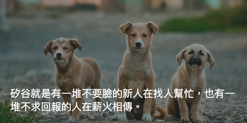 Featured image of post 互助@矽谷